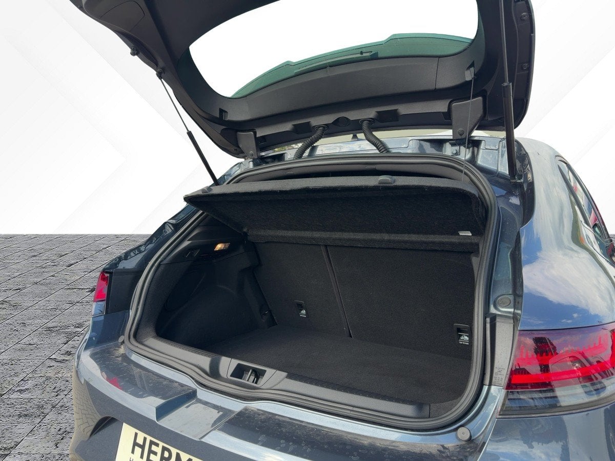 Renault Megane IV 1.8 TCe 300 GPF R.S. CAM*LED*NAVI*SHZ*