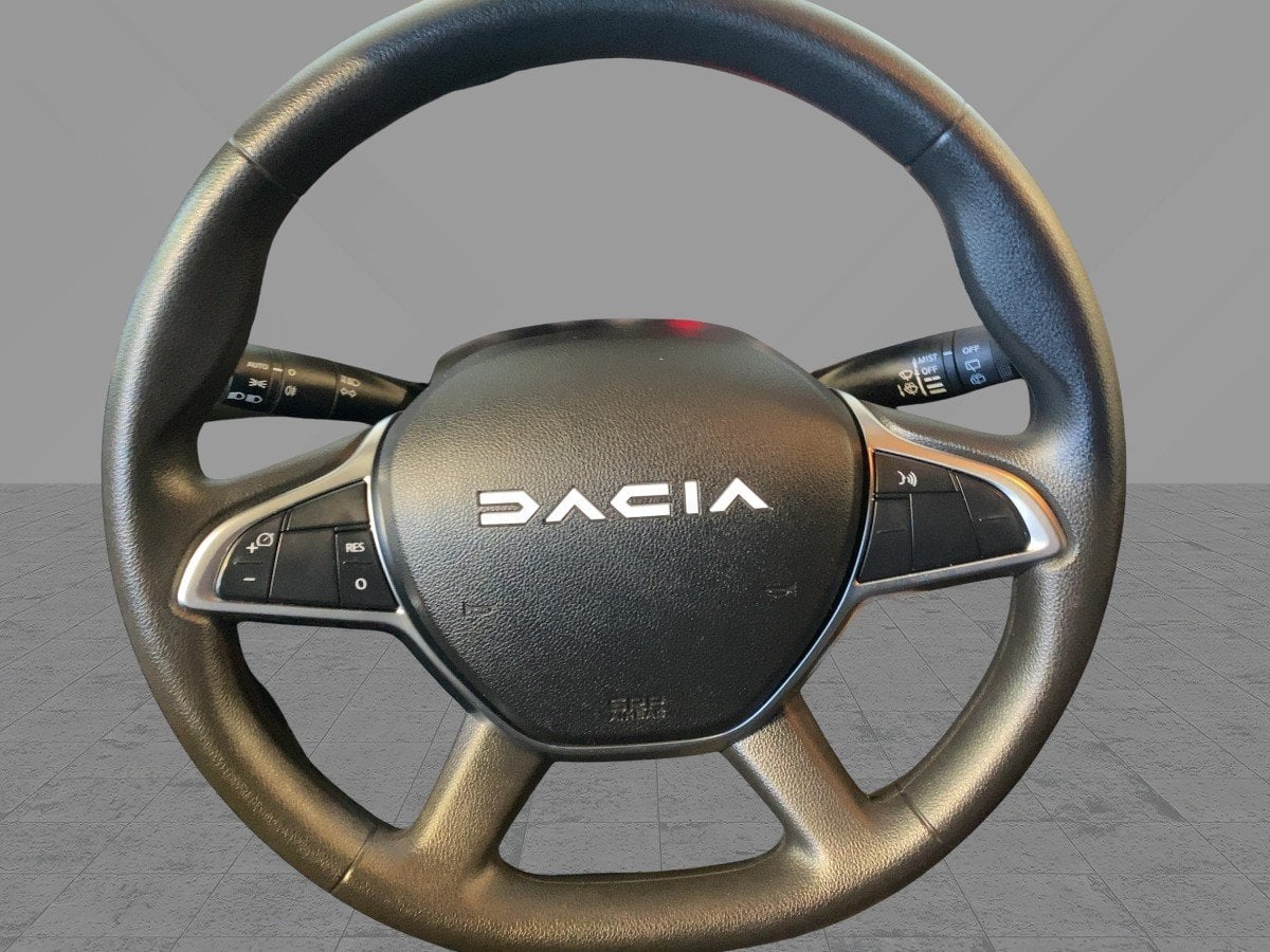 Dacia Spring Electric 65  Extreme CAM*NAVI*PDC*AUT