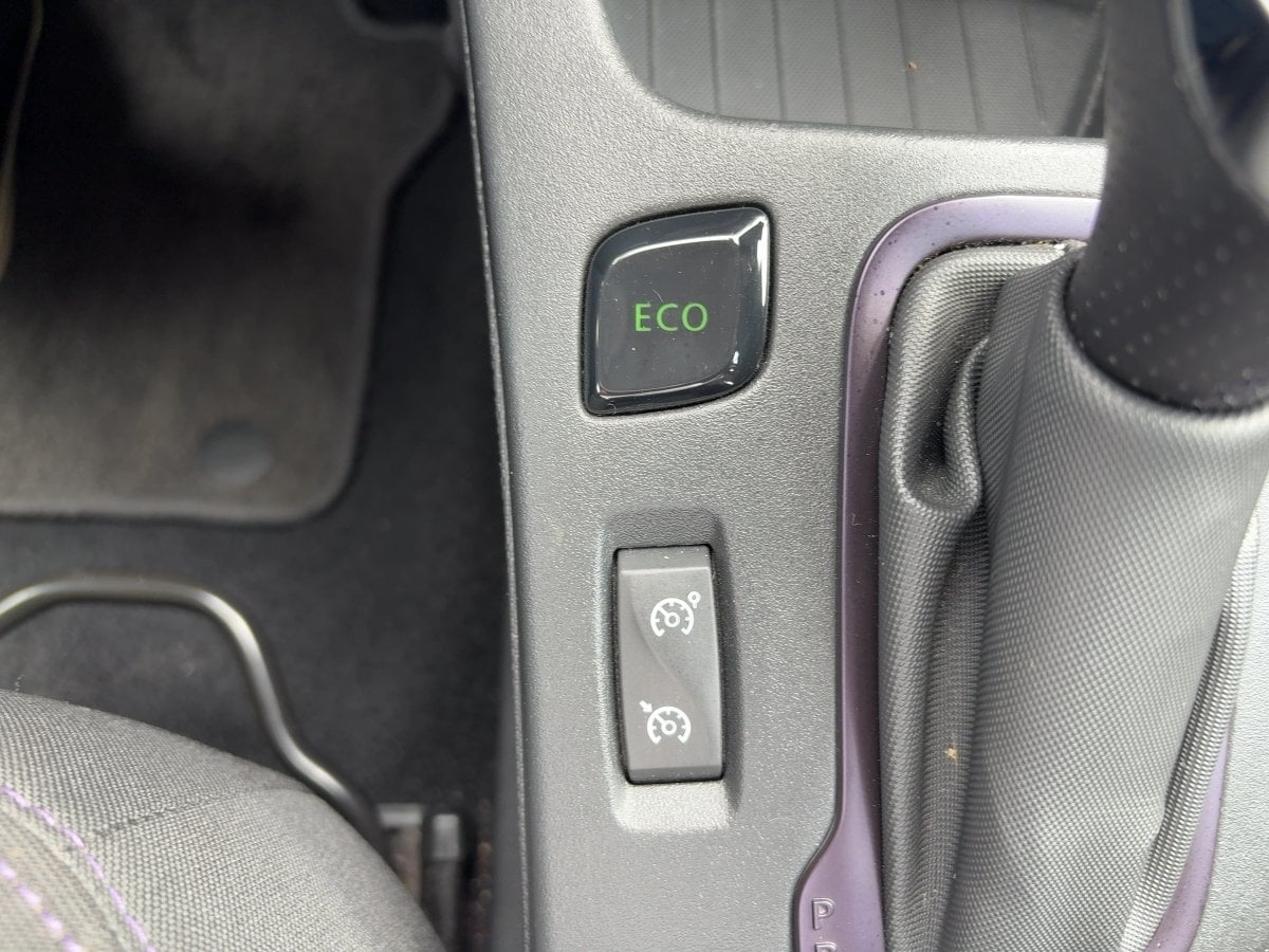 Renault Zoe R110 Z.E. 40 Life Miet-Batterie *PDC*